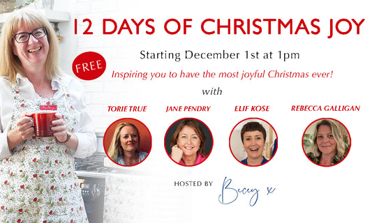 12 days of christmas joy interview series