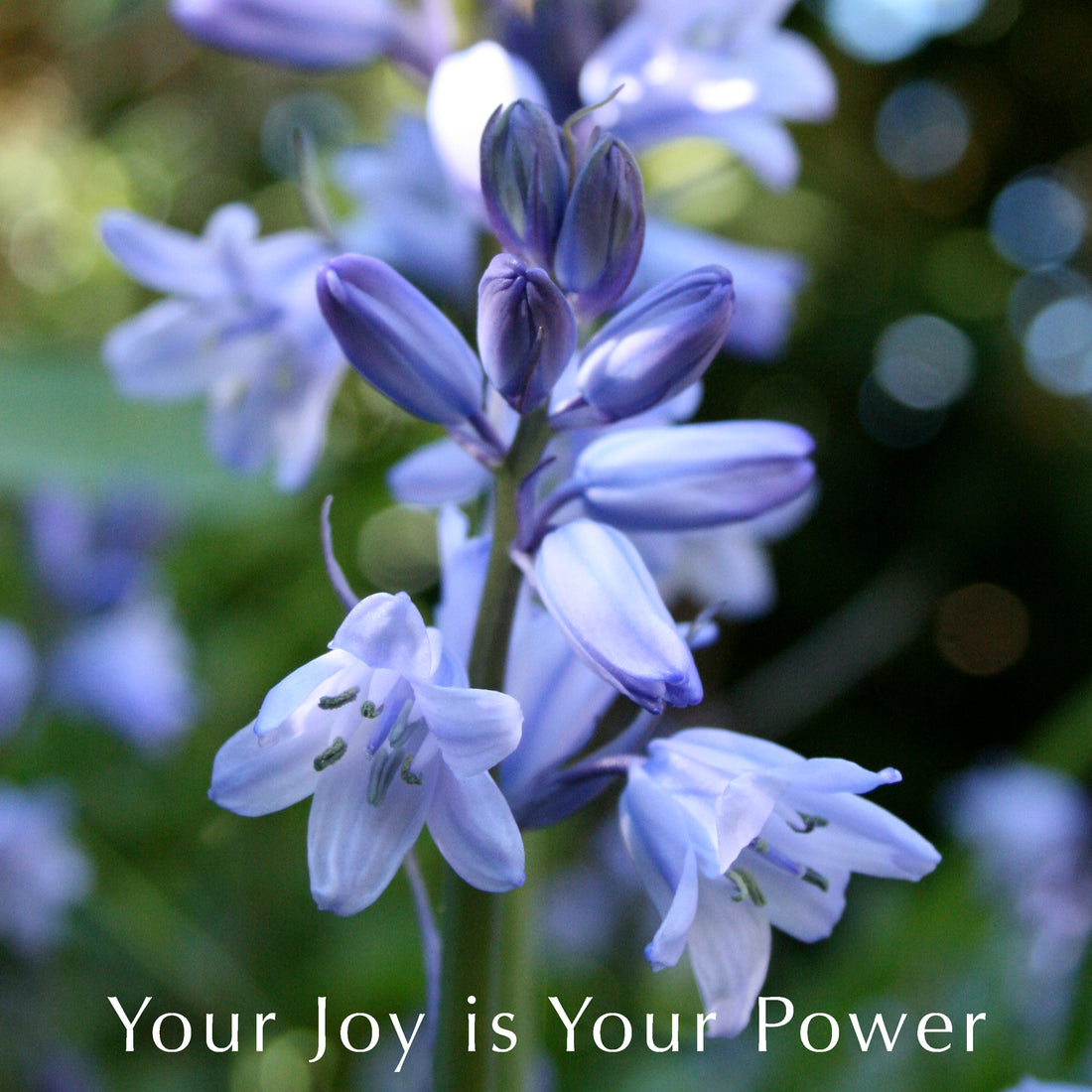 Your Joy is Your Power