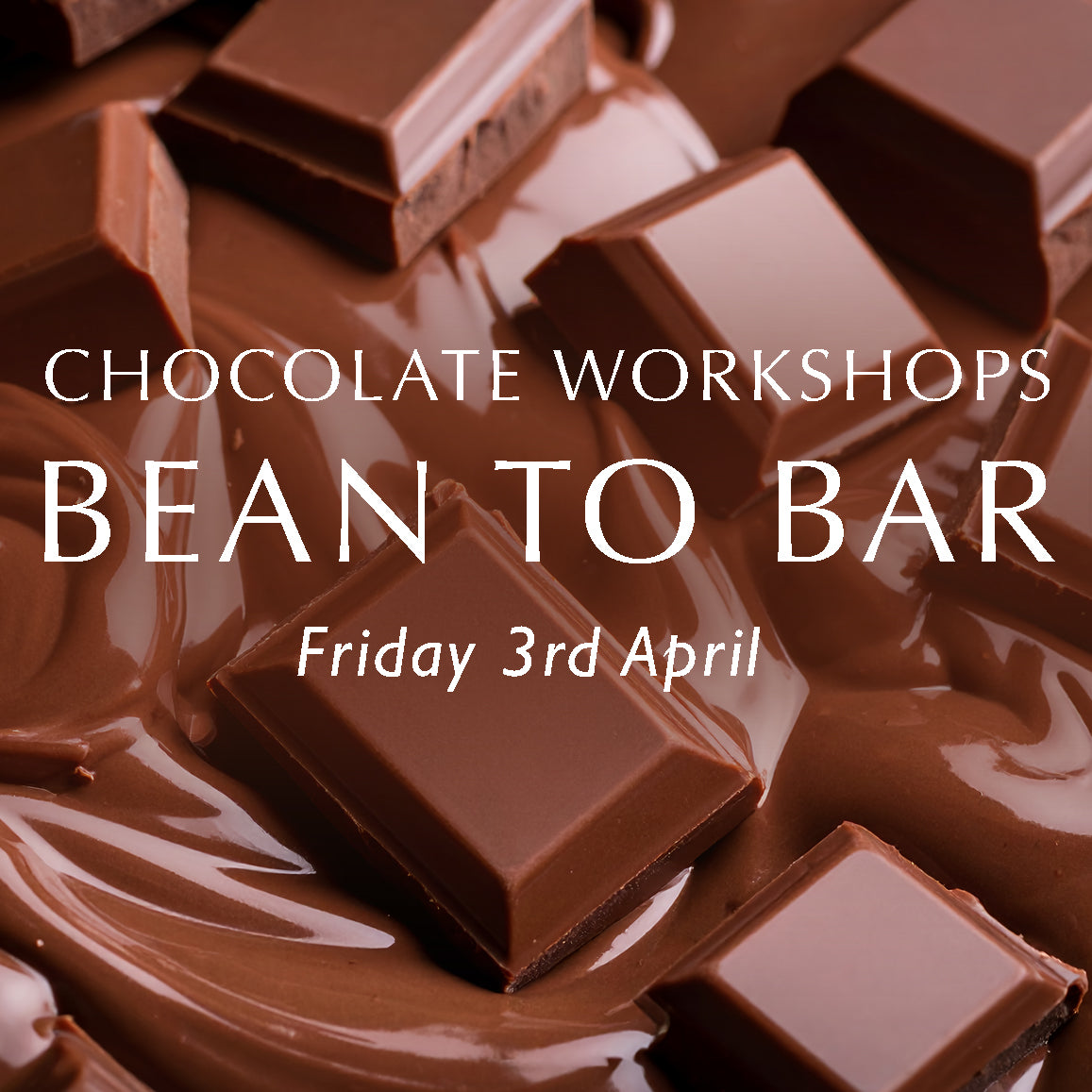Bean to Bar Chocolate Workshop – South Leigh Village Hall - Friday 3rd April: 10am-12pm